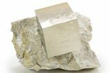 Four Shiny Natural Pyrite Cubes in Rock - Navajun, Spain #325107-1